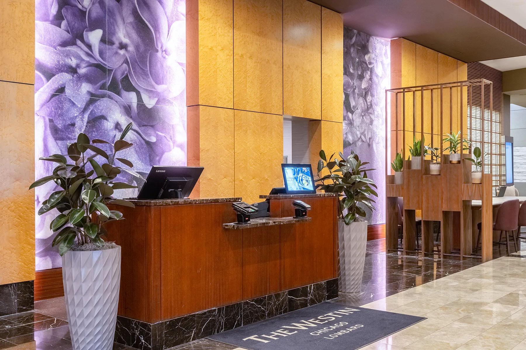 Interior photo of installed potted plants from The Langham.