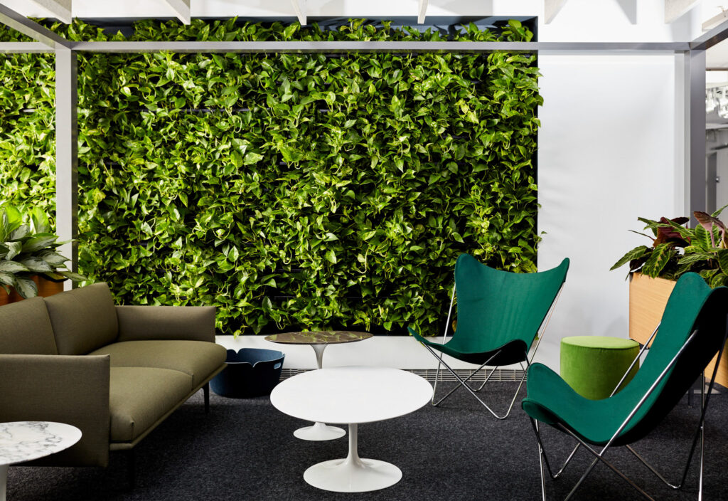 A healthy, living plant wall installed by an eco-friendly indoor plant care business