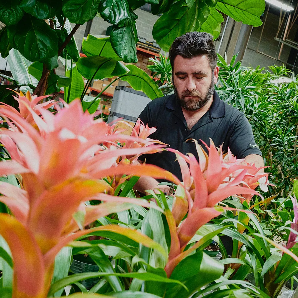 Amlings team member working on a biophilic installation using interior design and ai insights.