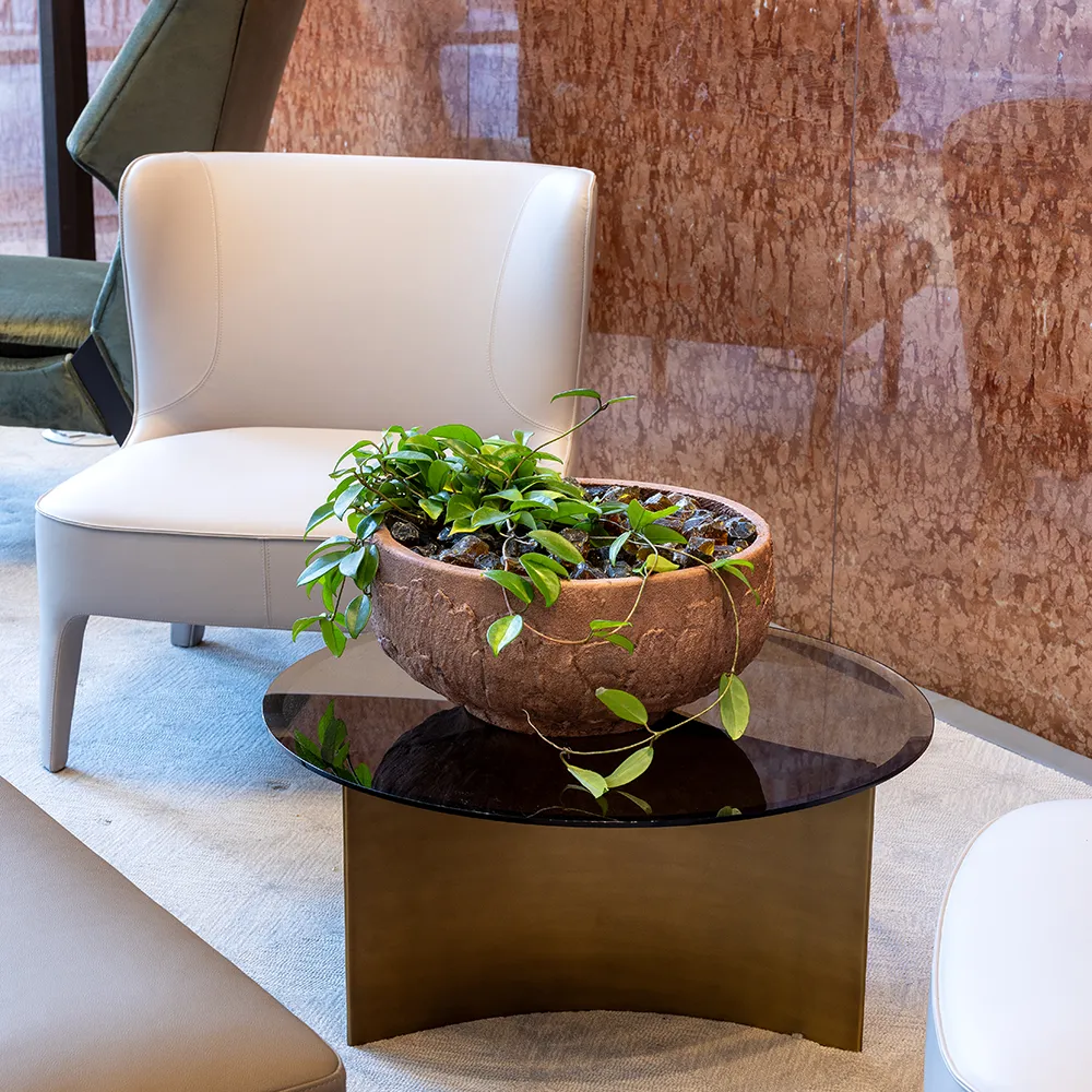 Image of sculptural plant leaves illustrating the detail involved in biophilic interior design.