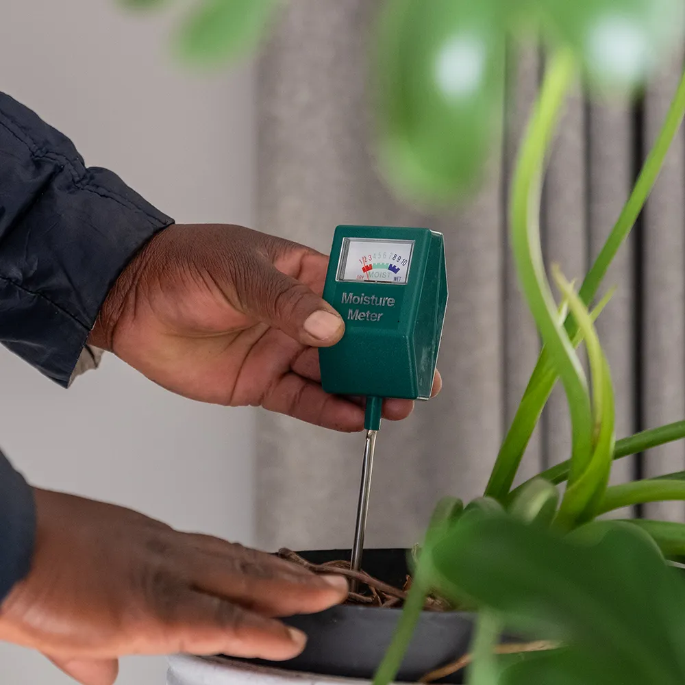 Close up of moisture sensors in soil illustrating interior landscaping technology and tech-driven plant design.