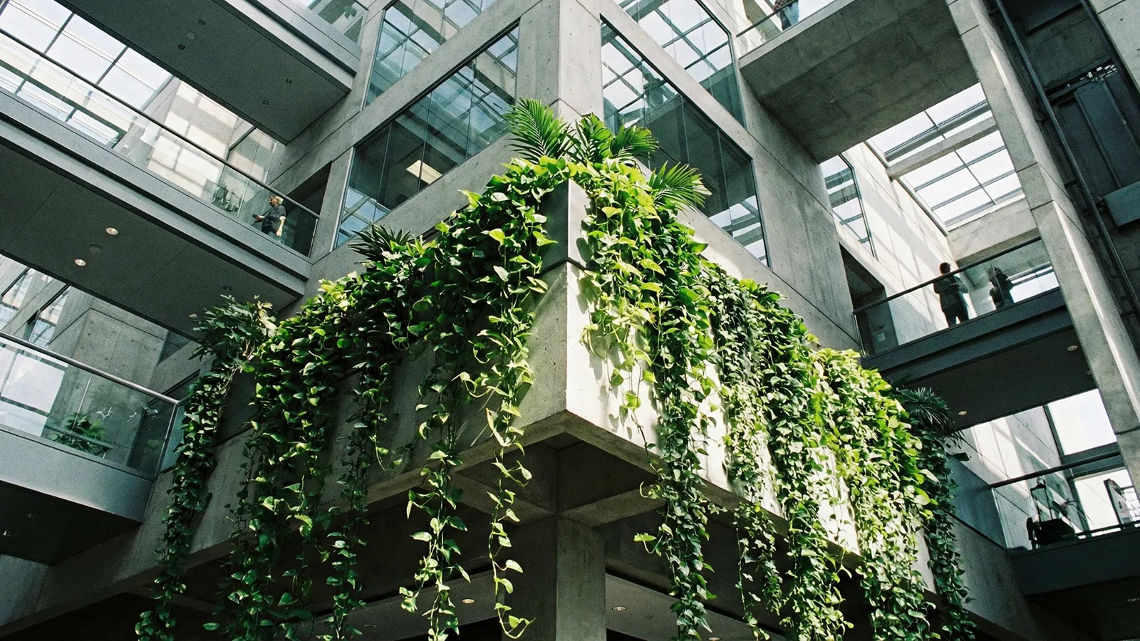 Biophilic design in a modern corporate atrium with cascading greenery and geometric architecture.