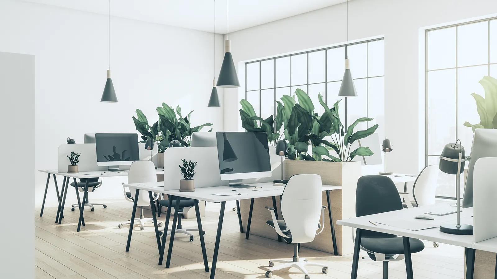 Row of tall indoor plants acting as a privacy screen between desks.