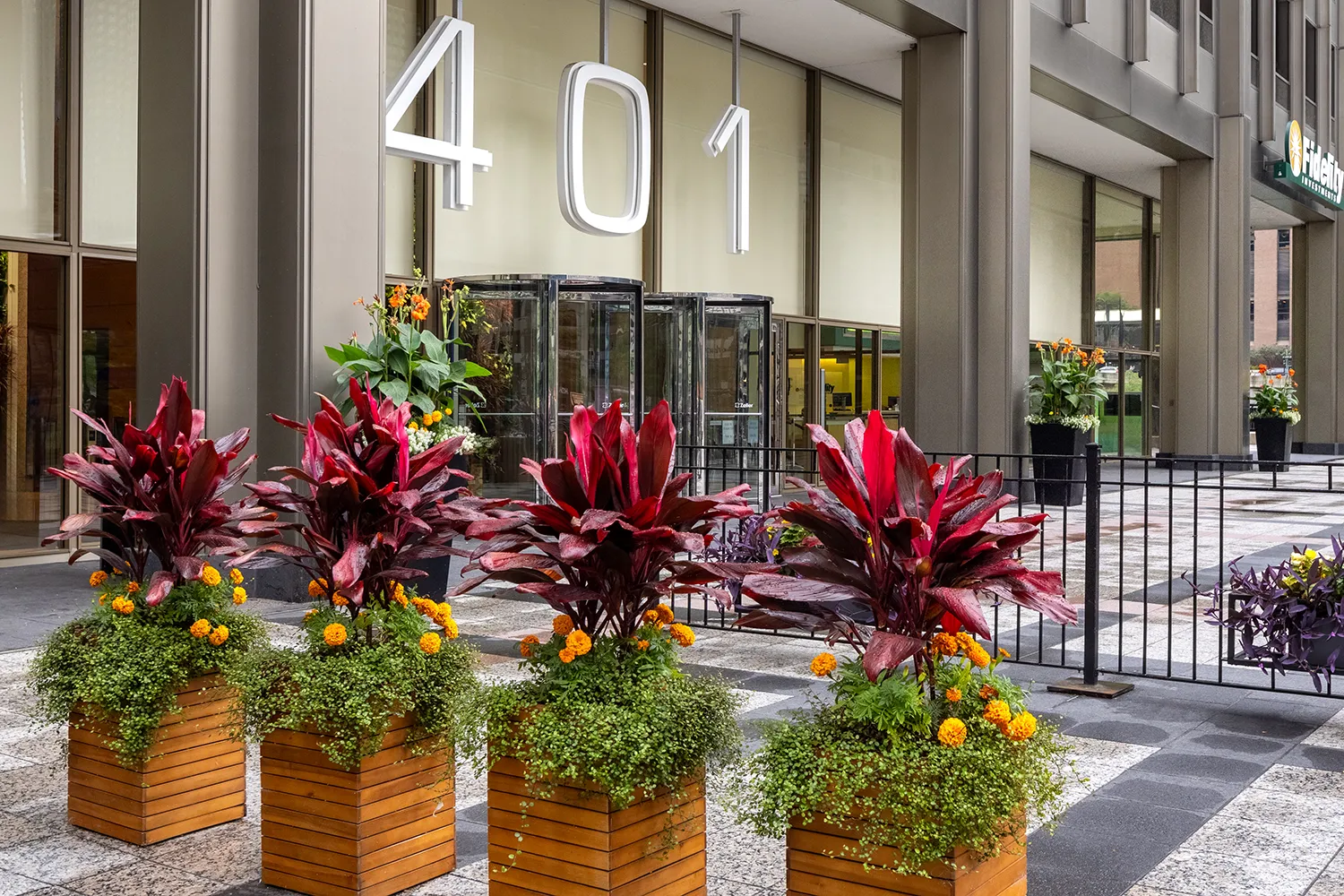 Modern office entrance featuring vibrant commercial outdoor plants arranged for winter appeal.