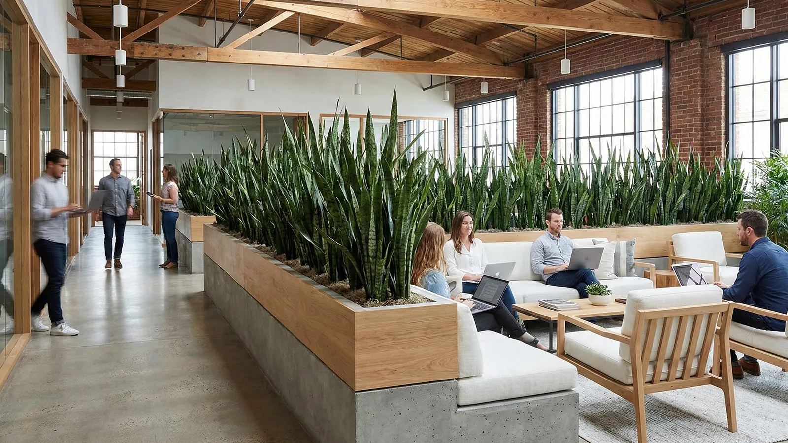 Long trough planter filled with tall Sansevieria (Snake Plants) acting as a natural privacy divider in a brick-and-beam open office layout.
