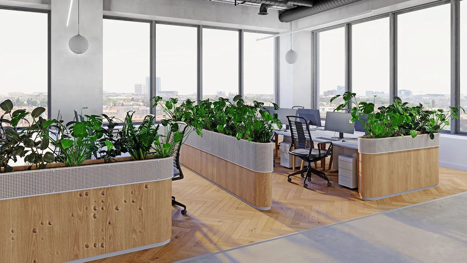 Open concept modern office space using a row of tall planter boxes with dense greenery to create a privacy divider between workstations.