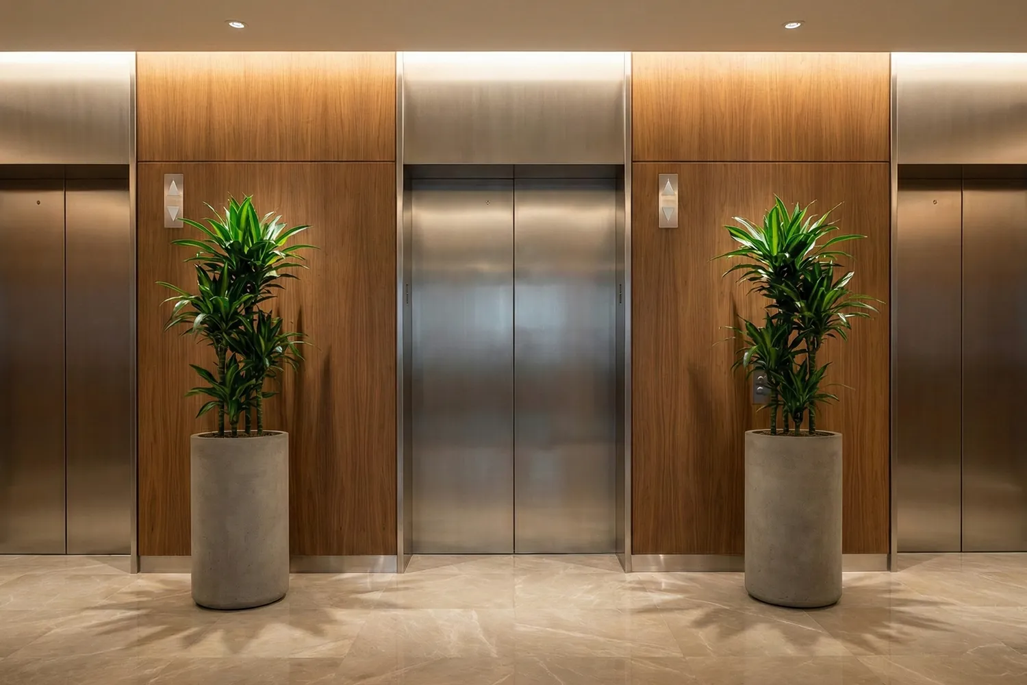 Symmetrical Dracaena plants in tall cylindrical concrete planters flanking elevator doors in a high-end corporate office corridor.