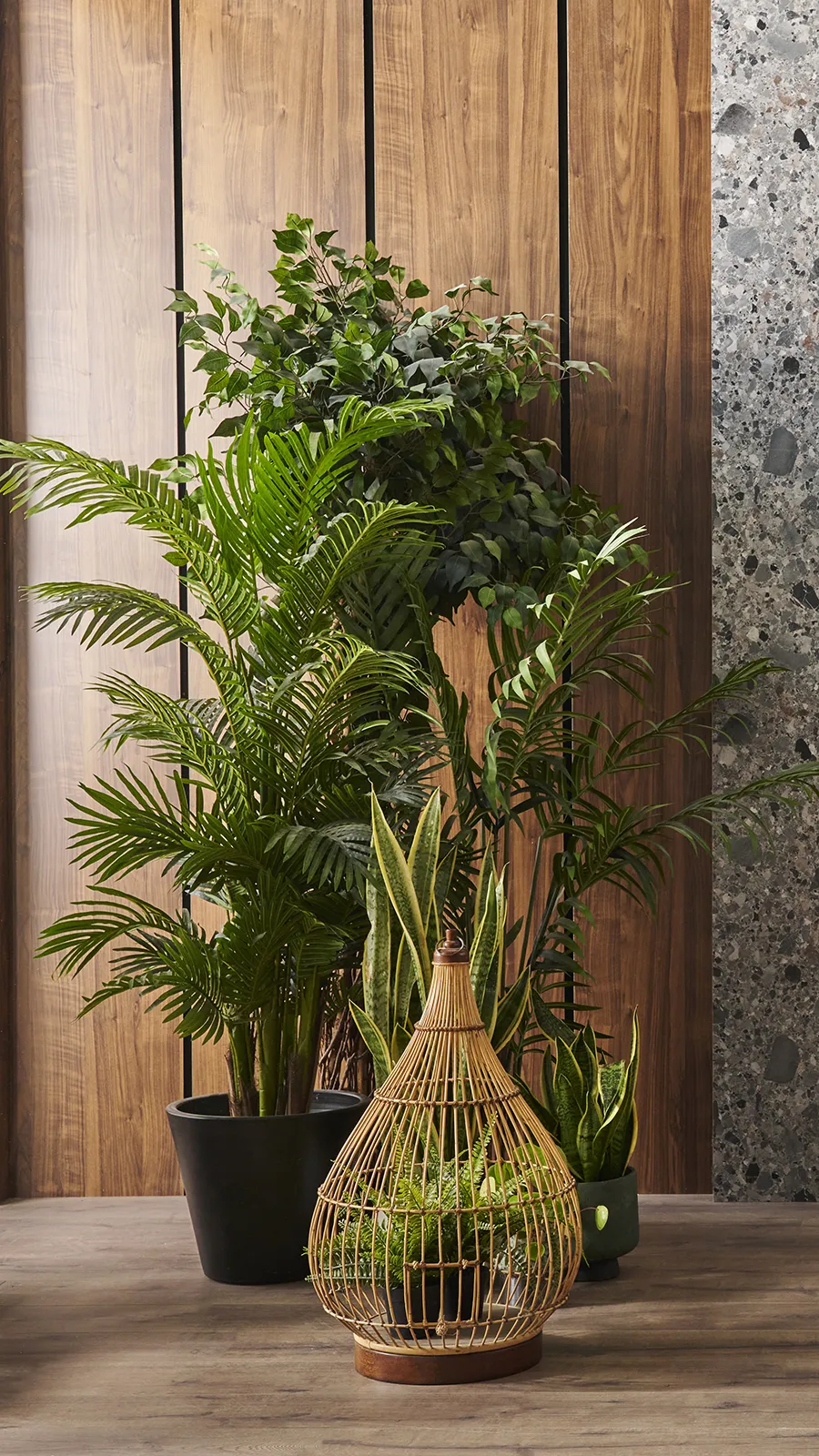 High-end planters showcasing biophilic design principles through natural wood and organic textures.