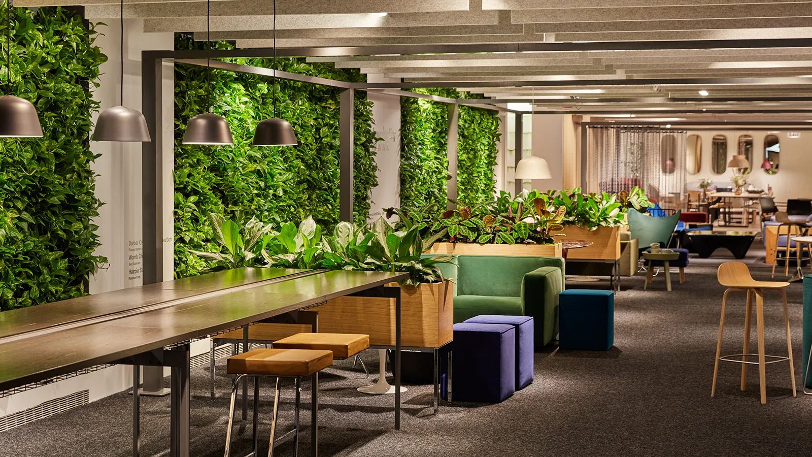 A sophisticated office lounge area featuring extensive integrated greenery, including a large multi-faceted living plant wall. This stunning biophilic design successfully implements ecotherapy, providing essential natural anxiety relief and directly combating the effects of nature deficit disorder for employees, showcasing the type of nature-gap-bridging Amlings specializes in creating.