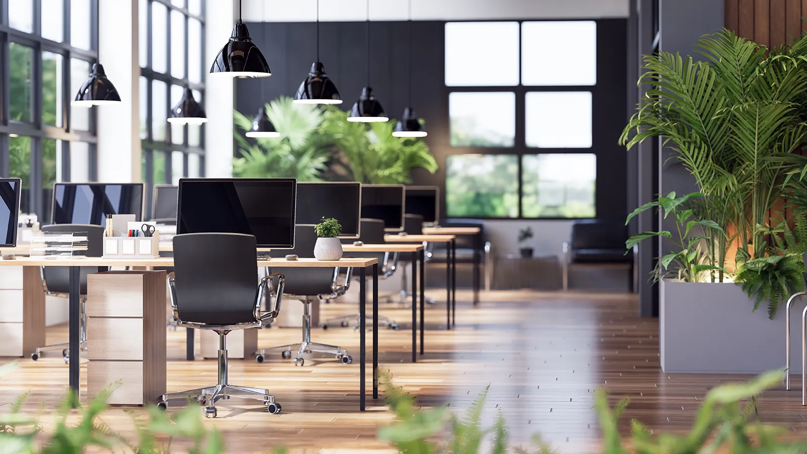 A bright, modern office design featuring lush indoor plants.
