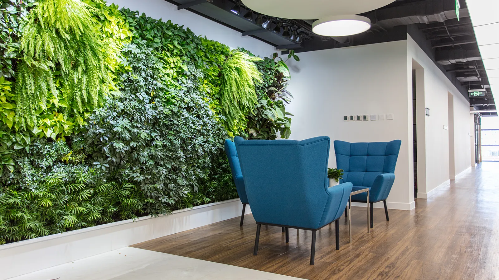 A stunning interior design with plants showcasing a massive living wall in an office lounge area.