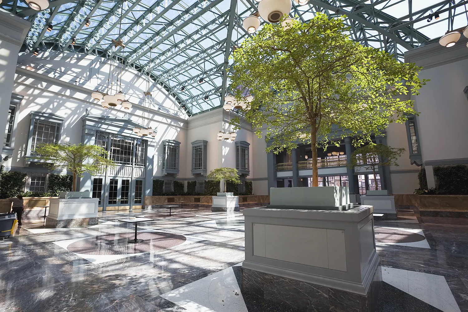A bright, thriving corporate atrium in a Chicago high-rise, expertly maintained by a professional office plant service.