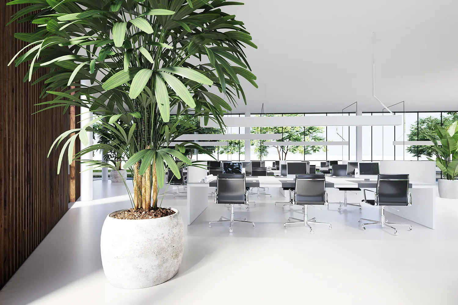 Biophilic design in a Chicago office showing the WELL building standard in action.