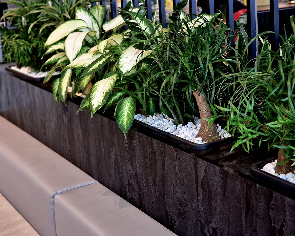 Modern custom interior planters with integrated wooden bench seating in a corporate lounge.
