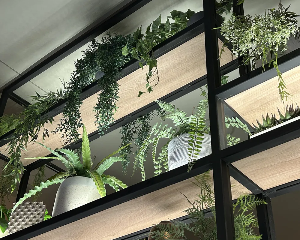 Trailing plant vines used to soften modern interior design lines in a corporate office setting.