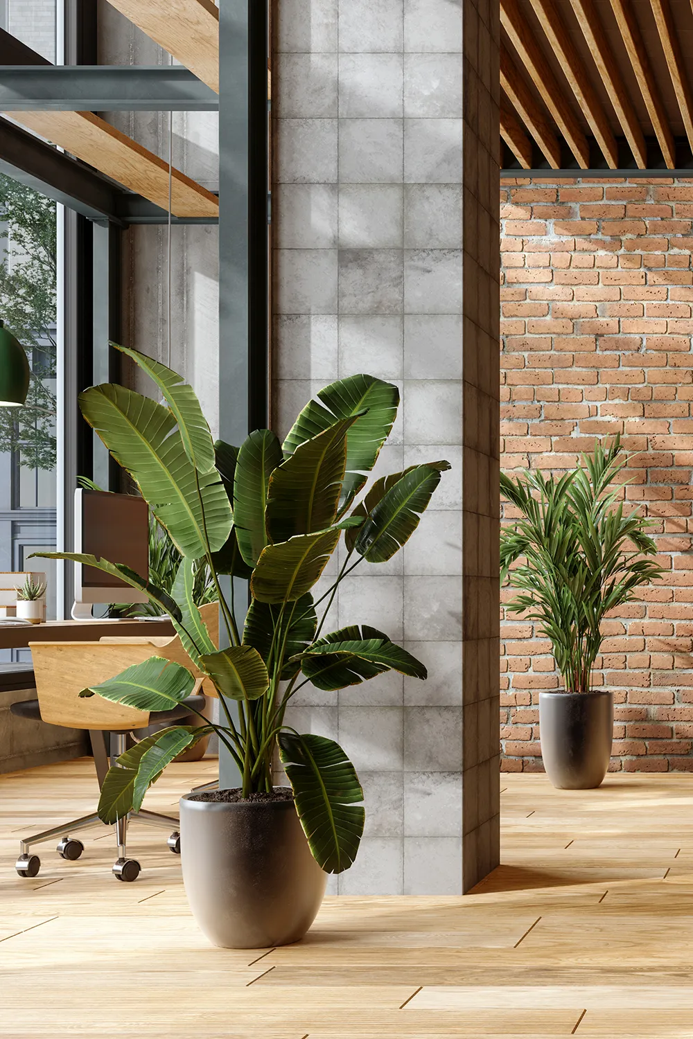 This detailed view of a Chicago co-working space corner highlights how matte broad leaves of a Monstera plant in a concrete planter contrast against an exposed brick wall. Large windows and rich textiles create a dynamic biophilic interior design scheme.