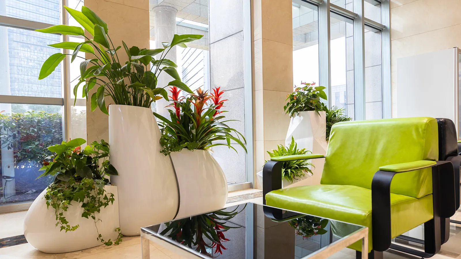 A thriving corporate lobby illustrating the peak of the plant life cycle in a commercial setting.