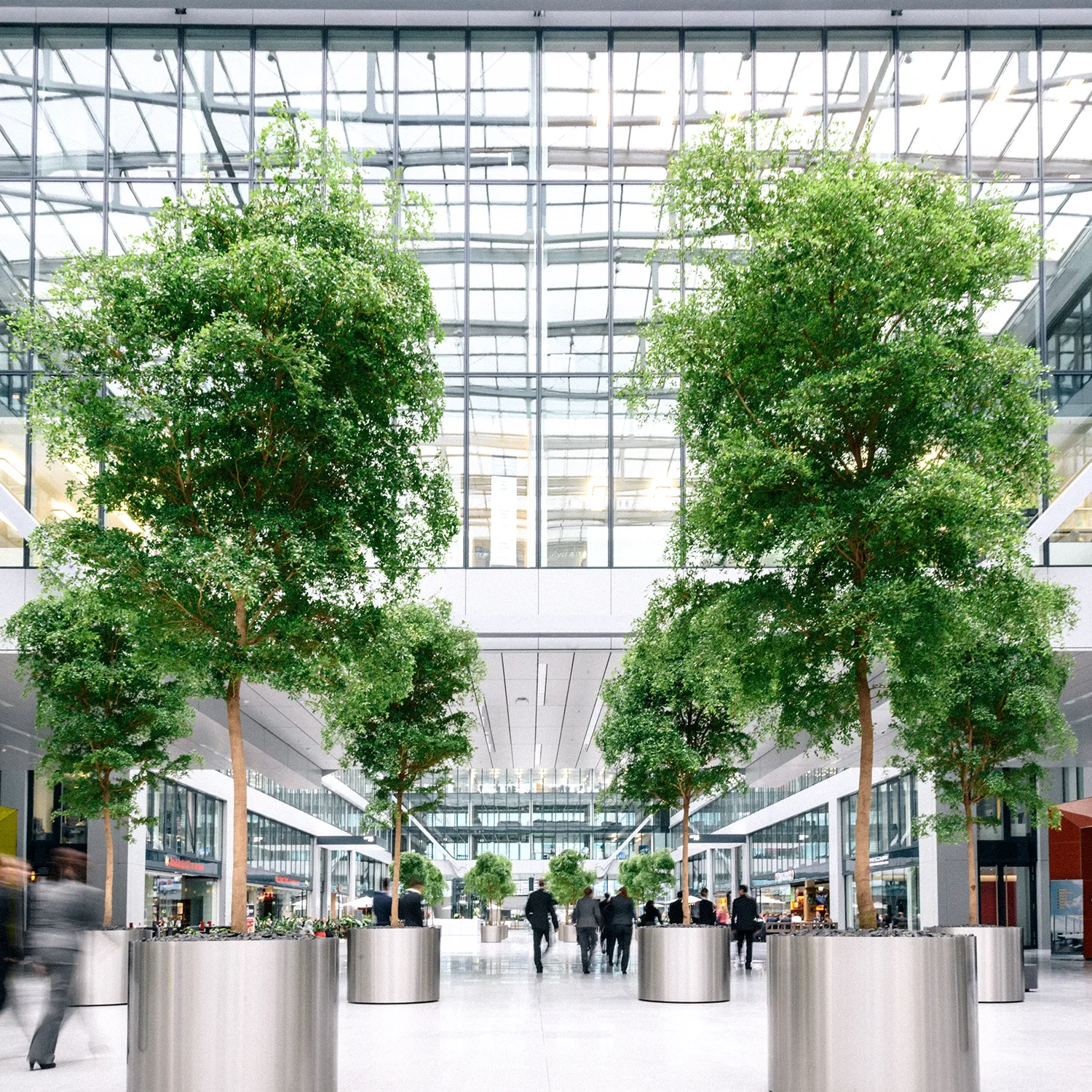 A wide view of a bright, modern Class-A office lobby featuring large indoor trees that require specialized plant maintenance and strategic plant watering.