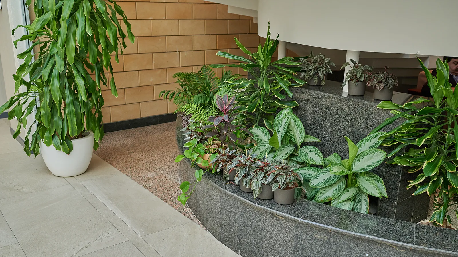 A bright modern lobby demonstrating the flawless aesthetic achieved through a professional office plant service and routine office plant maintenance.