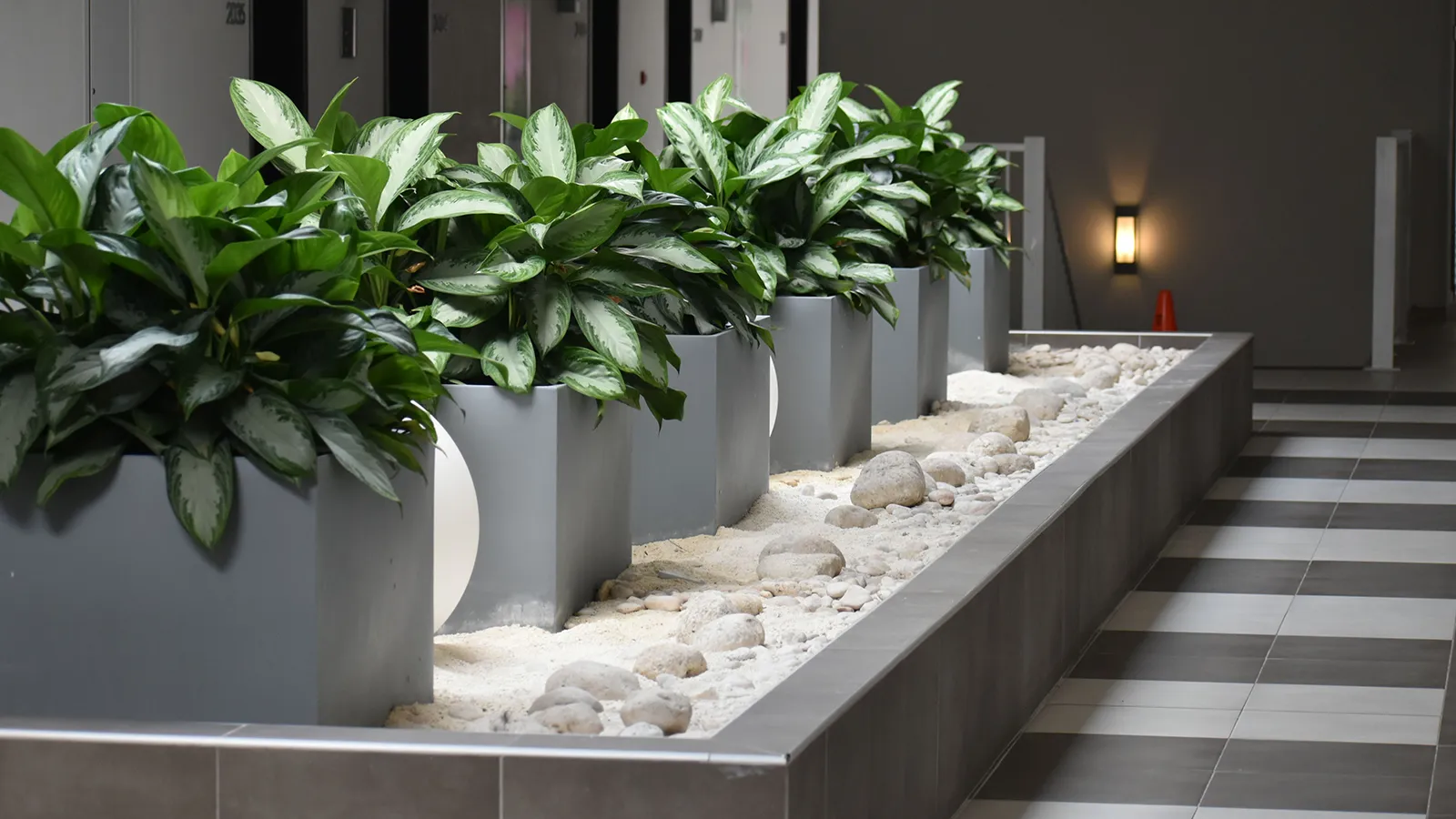 A vibrant office space demonstrating the benefits of a premium office plant maintenance.