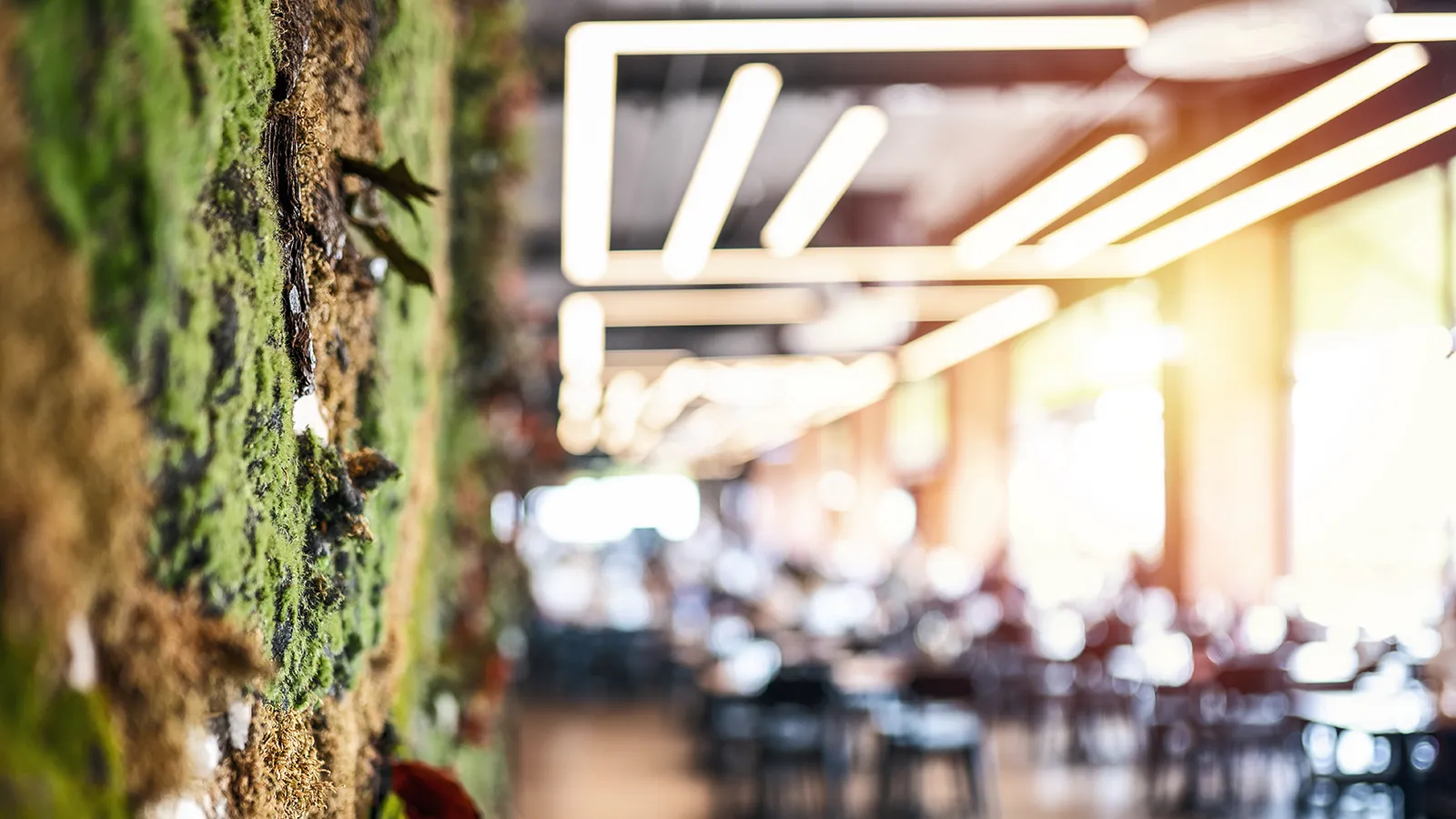 A beautiful, warmly lit restaurant interior featuring a massive living wall installation that enhances the dining atmosphere.