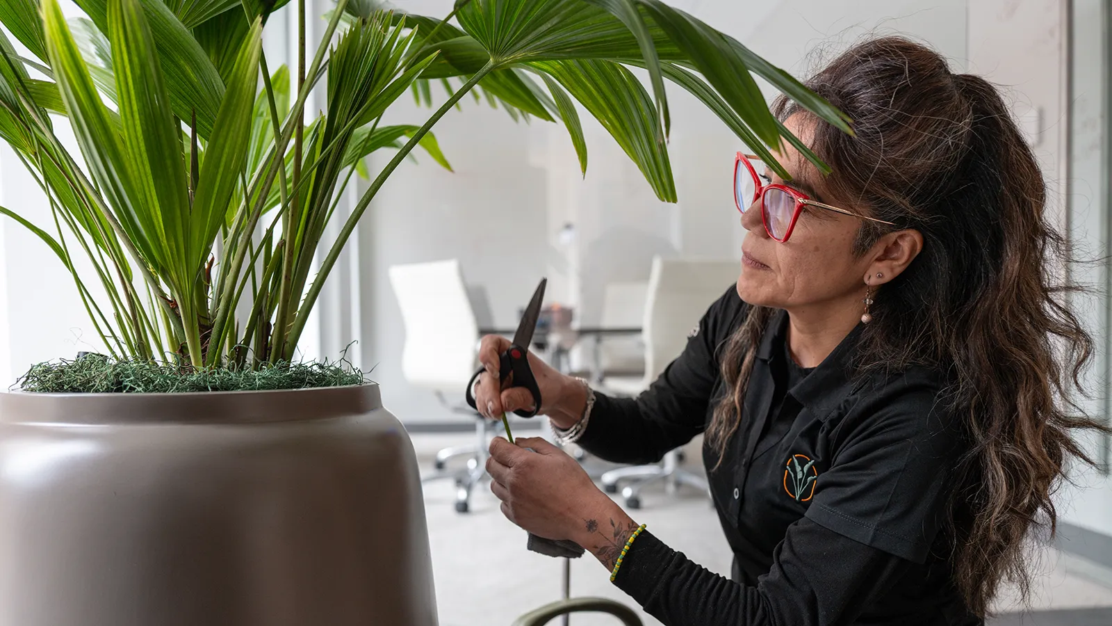 A fully uniformed, professional technician providing meticulous interior horticulture maintenance to a large office plantscape.