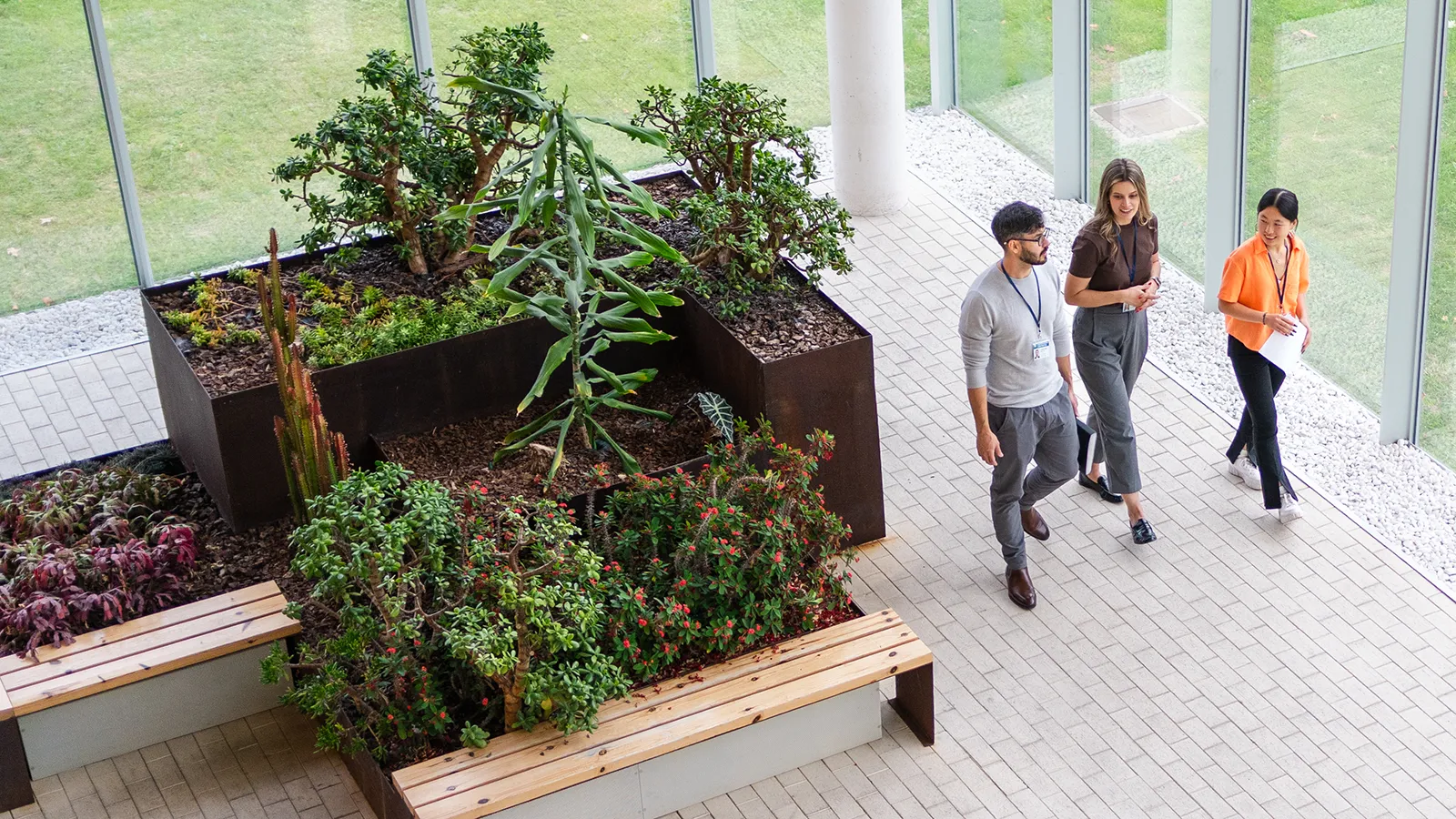 Expansive interior plantscaping featuring a plant installation with tropical plants in a Class A office building lobby.