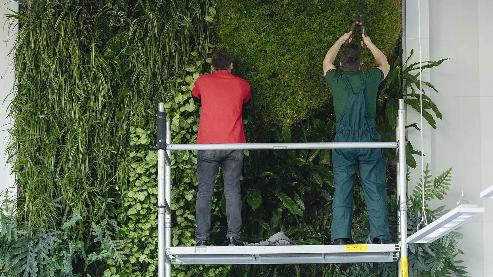 Professional technicians cleanly slotting pre-grown plant trays into a waterproof frame during a rapid plant wall installation in a corporate setting.