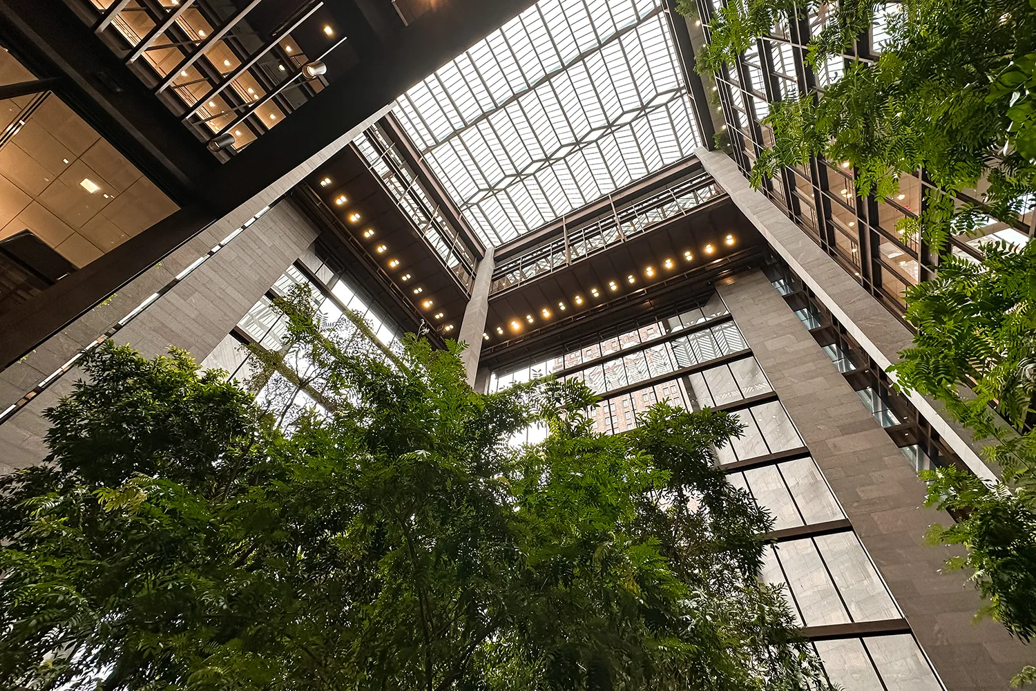 Tall canopy plants for atriums providing natural shade and cooling evapotranspiration under a massive glass skylight in a Chicago corporate building.