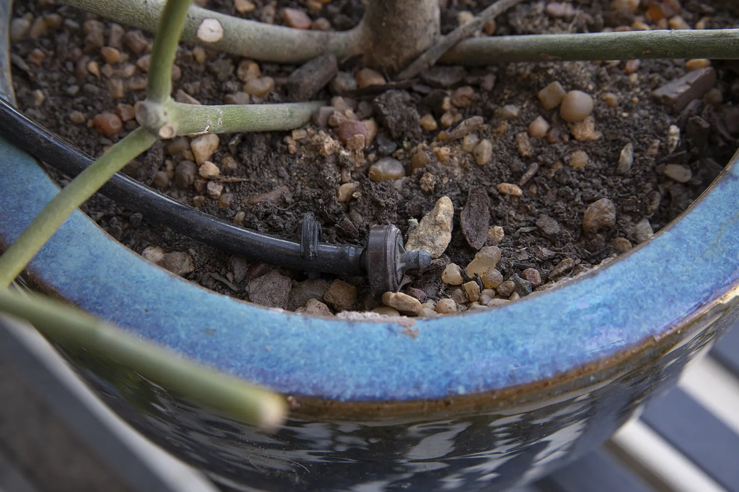 Beautiful Displays Need Reliable Water Drip irrigation serving commercial outdoor planters at a Chicago property