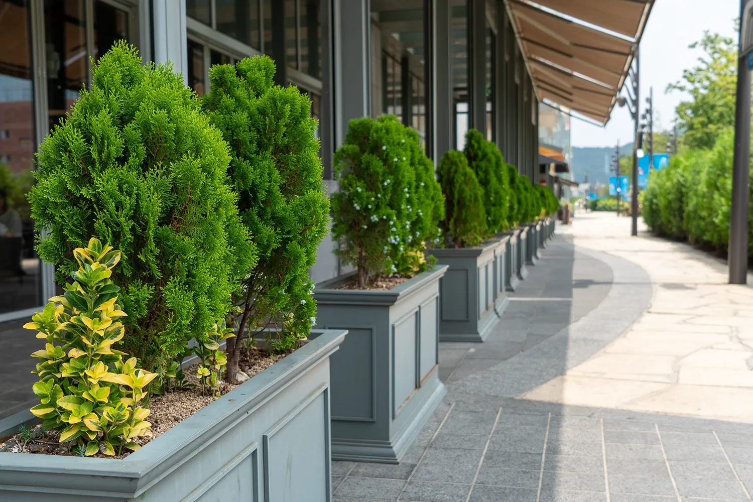 Plan Better. Make a Stronger First Impression. Commercial outdoor planters at a Chicago property entrance and sidewalk frontage