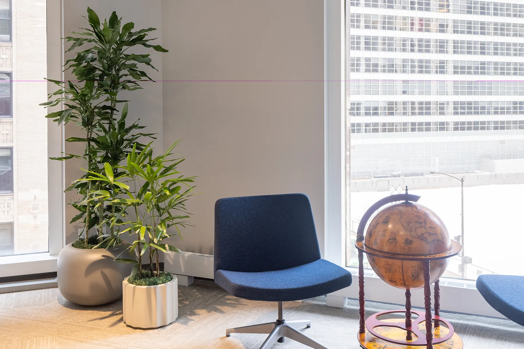 plants-for-businesses-in-schaumburg-illinois