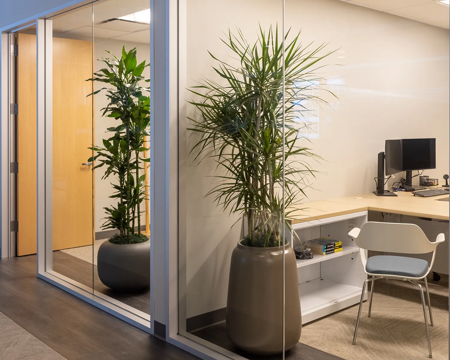 schaumburg-illinois-plant-installation-design-care