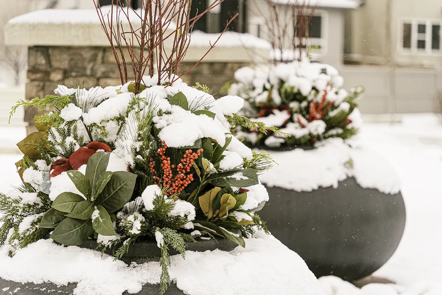 Keep the Entrance Strong All Winter Seasonal planter service creating winter commercial planters for a Chicago property