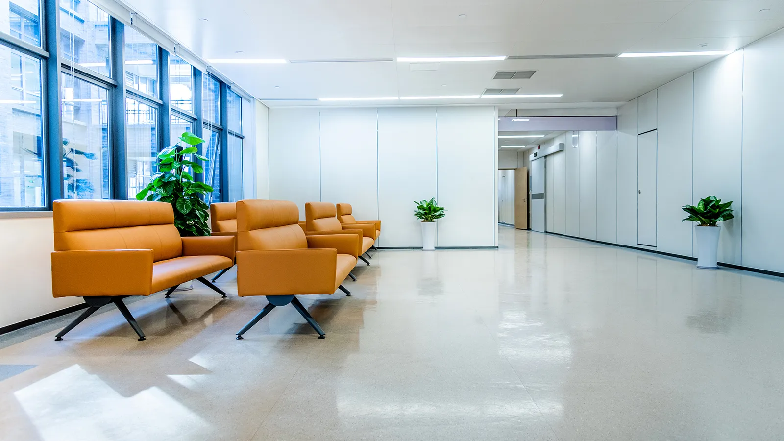 Biophilic Design in Healthcare Waiting Areas Biophilic design in healthcare waiting area with plants, daylight, natural materials, and outdoor views