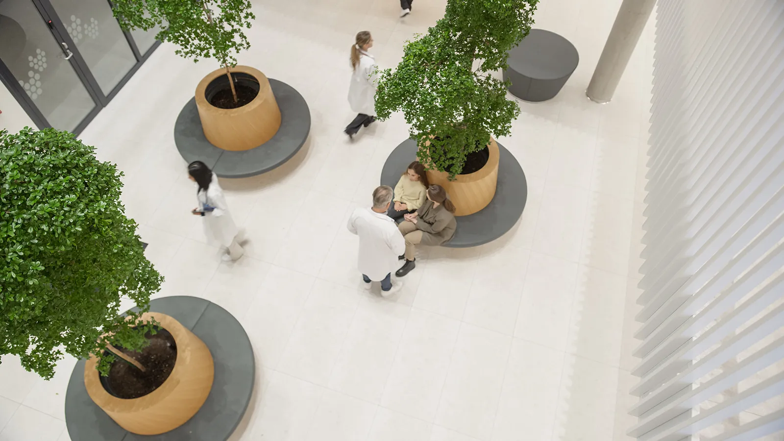 Biophilic Healthcare Design for Modern Facilities Biophilic healthcare design with interior plants and natural light in a modern healthcare facility