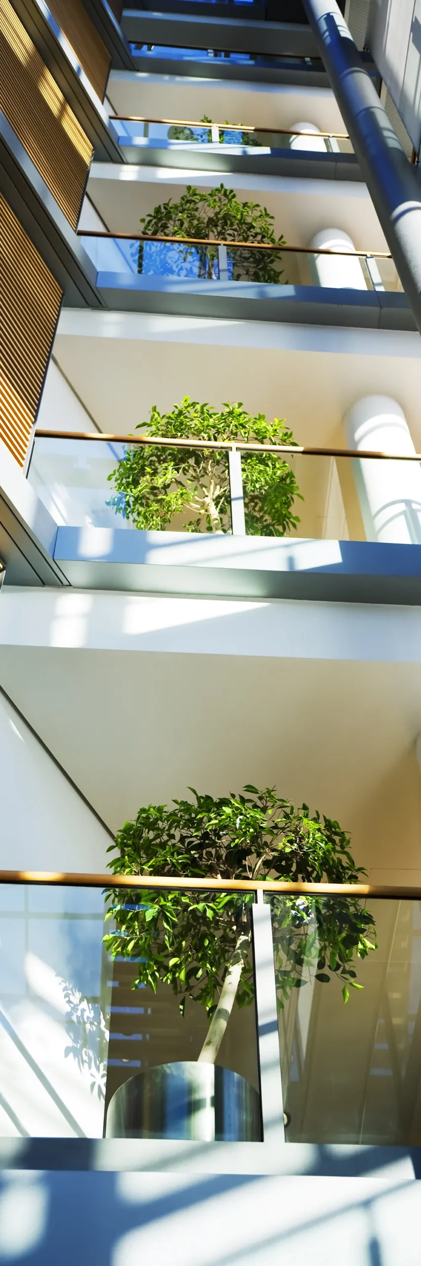 Commercial Plantscaping Across a Commercial Building Commercial plantscaping plan coordinating interior plants across multiple areas of a commercial building