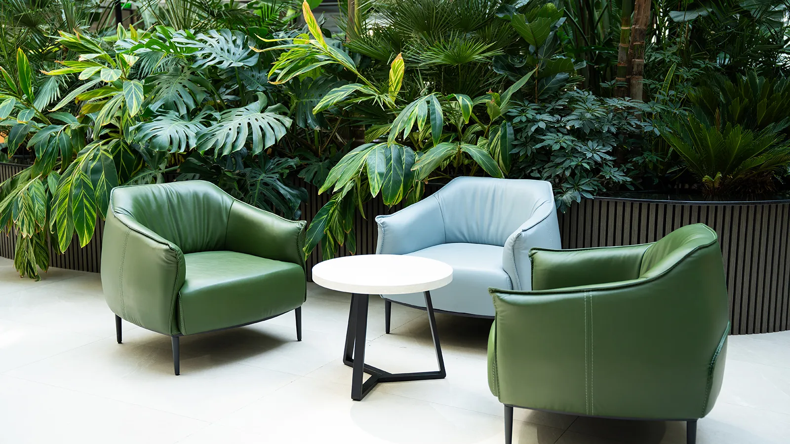 Phased Commercial Interior Plants Rollout Commercial interior plants program expanding from lobby and amenities to tenant and executive floors